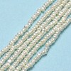 Natural Cultured Freshwater Pearl Beads Strands PEAR-A005-28-2