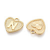 Alloy Pendants PALLOY-N157-001N-NR-2