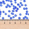 6/0 Luminous Glass Seed Beads X1-SEED-NH0001-01J-5