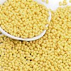 Baking Paint Glass Seed Beads X1-SEED-K010-A26-1