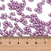 Glass Seed Beads SEED-L011-04A-03-4