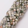 Natural Tree Agate Bead Strands X-G-G882-6mm-E02-1