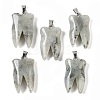 Natural Labradorite Pendants G-G115-01B-1