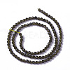 Natural Golden Sheen Obsidian Beads Strands X-G-F596-17-2mm-2