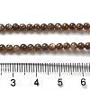 Natural Freshwater Shell Beads Strands SHEL-H003-03D-4