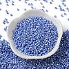 Baking Paint Glass Seed Beads SEED-S042-15A-12-2