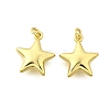 Brass Pendants KK-I275-09G-03-1