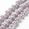 Electroplate Glass Beads Strands X-EGLA-Q109-B06-1