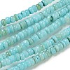 Dyed Natural Freshwater Shell Beads Strands BSHE-G039-07C-1
