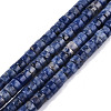 Natural Sodalite Beads Strands G-N326-148C-1