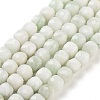 Natural White Jade Beads Strands G-H028-A09-19-1