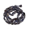 Natural Iolite/Cordierite/Dichroite Beads Strands G-I389-A34-01B-3
