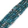 Natural Apatite Beads Strands X-G-D856-01-4mm-5