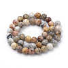 Natural Crazy Agate Beads Strands G-S259-38-10mm-2