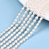 Natural Cultured Freshwater Pearl Beads Strands PEAR-S017-001-2