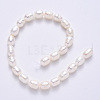 Natural Cultured Freshwater Pearl Beads Strands PEAR-S012-41C-3