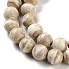 Natural Rainbow Alashan Agate Beads Strands G-NH0022-A10-02-4