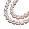 Natural Cultured Freshwater Pearl Beads Strands PEAR-S017-004-4