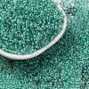 Glass Cylinder Beads SEED-L011-11B-14-1
