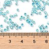 Glass Seed Beads SEED-S042-04B-23-4