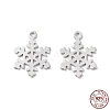 Rhodium Plated 925 Sterling Silver Charms STER-C003-19P-1