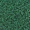 MIYUKI Round Rocailles Beads SEED-X0054-RR0173-2