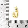 Rack Plating Brass Charms KK-C053-04G-U-3