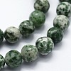 Natural Green Spot Jasper Beads Strands G-I199-30-12mm-3