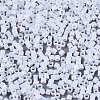 FGB 11/0 Grade A Glass Seed Beads SEED-S030-1141-2