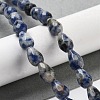 Natural Blue Spot Jasper Beads Strands G-P520-B21-01-2