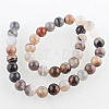 Dyed & Heated Natural Agate Round Beads Strands G-E230-01-10mm-2