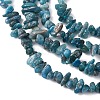 Natural Apatite Beads Strands G-F666-01B-02-01-6