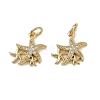 Brass Micro Pave Cubic Zirconia Pendants KK-I358-065G-02-1