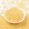 6/0 Glass Seed Beads SEED-T006-04F-09-2