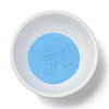 Nail Art Luminous Powder MRMJ-M003-01G-1