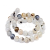 Natural Dendritic Agate Beads Strands G-D0005-18-10mm-2