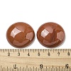 Natural Red Jasper Cabochons G-C115-02B-29-3