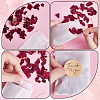 120Pcs Flat Translucent Glassine Waxed Paper Treat Bags Cookie Bags STIC-CP0001-11D-6