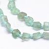 Natural Apatite Beads Strands G-P189-10-3