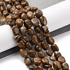 Natural Picture Jasper Beads Strands LS-G-G146-A01-01-2