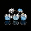 Natural Blue Aquamarine Beads PW-WGA4791-02-1