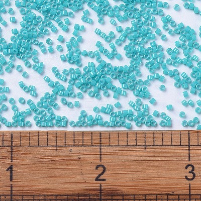 MIYUKI Delica Beads X-SEED-J020-DB0658-1