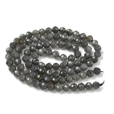 Natural Labradorite Beads Strands G-L622-C03-4mm-1