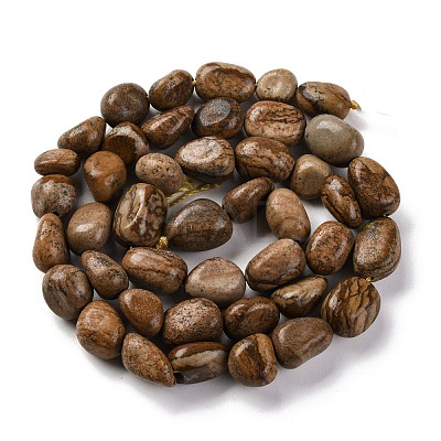 Natural Picture Jasper Beads Strands G-G146-A01-01-1