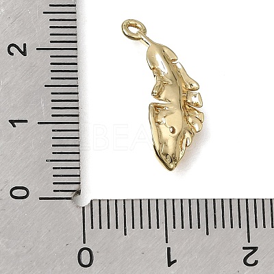 Brass Micro Pave Clear Cubic Zirconia Charms KK-CBA15EE-06G-1