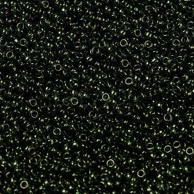 MIYUKI Round Rocailles Beads X-SEED-G009-RR0306-1