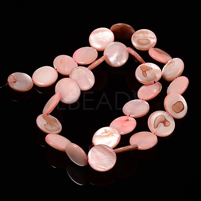 Natural Shell Beads Strands X-PBB251Y-6-1