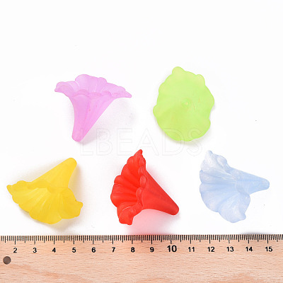 Transparent Acrylic Beads BSF796M-1