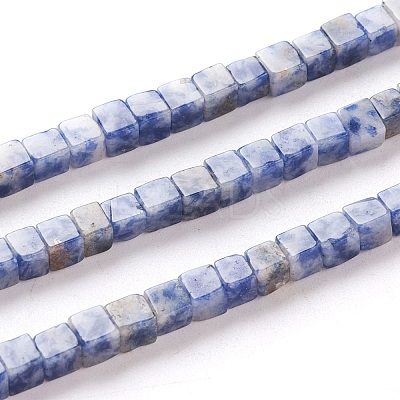 Natural Blue Spot Jasper Beads Strands G-F631-K06-1