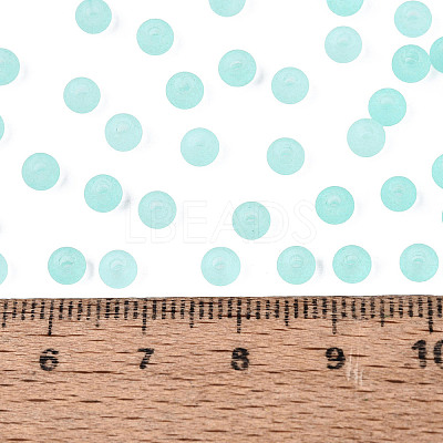 FGB Frosted Transparent Glass Seed Beads SEED-N013-02A-10-1